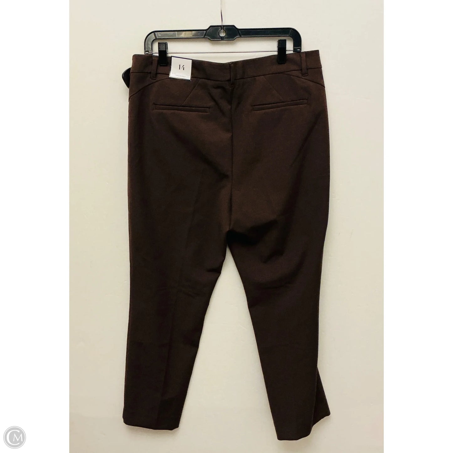 Pants Dress By White House Black Market In Brown, Size: 14