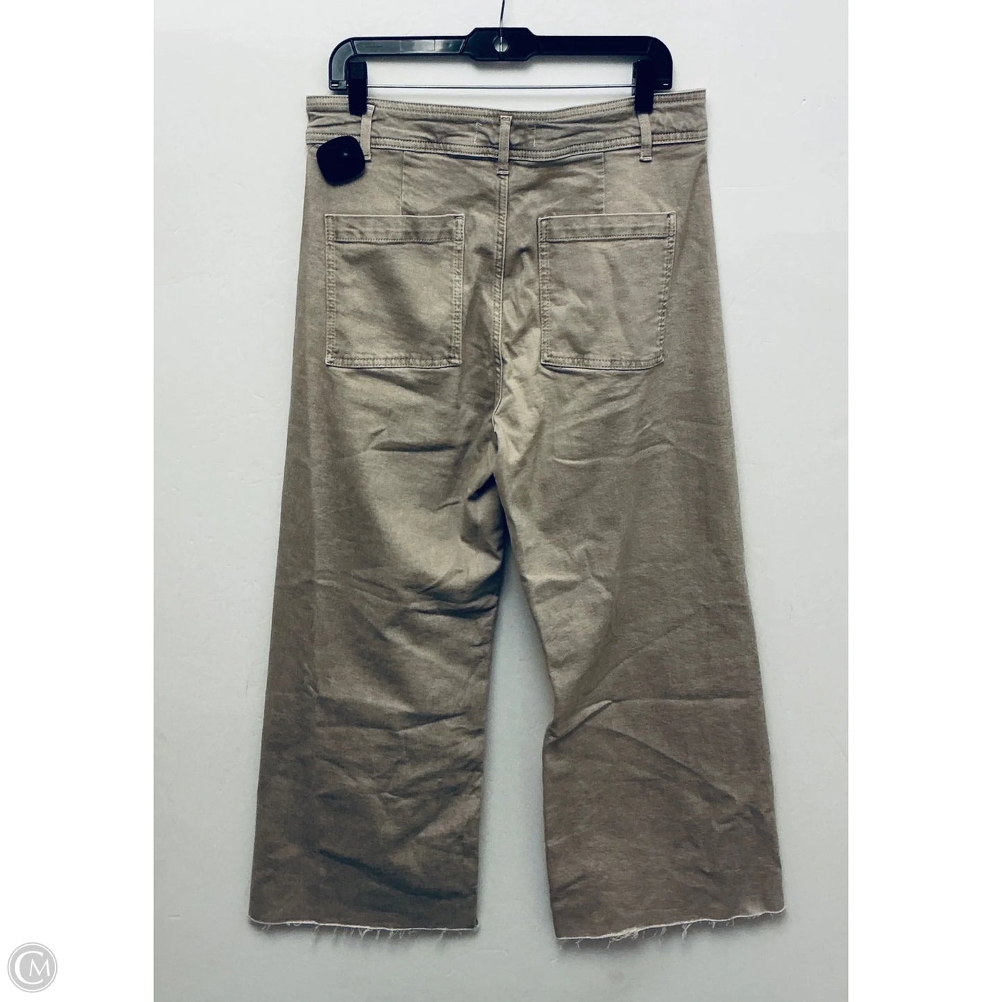 Jeans Wide Leg By Zara In Tan Denim, Size: 12