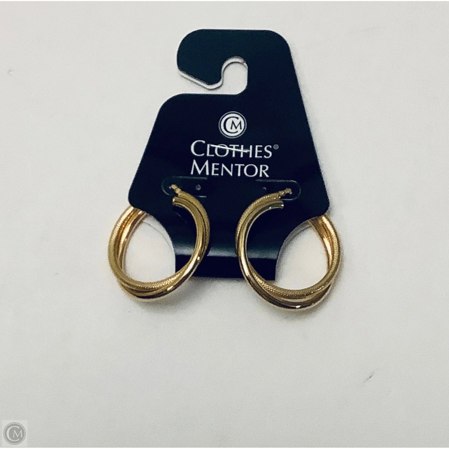 Earrings Hoop By Dolce Vita