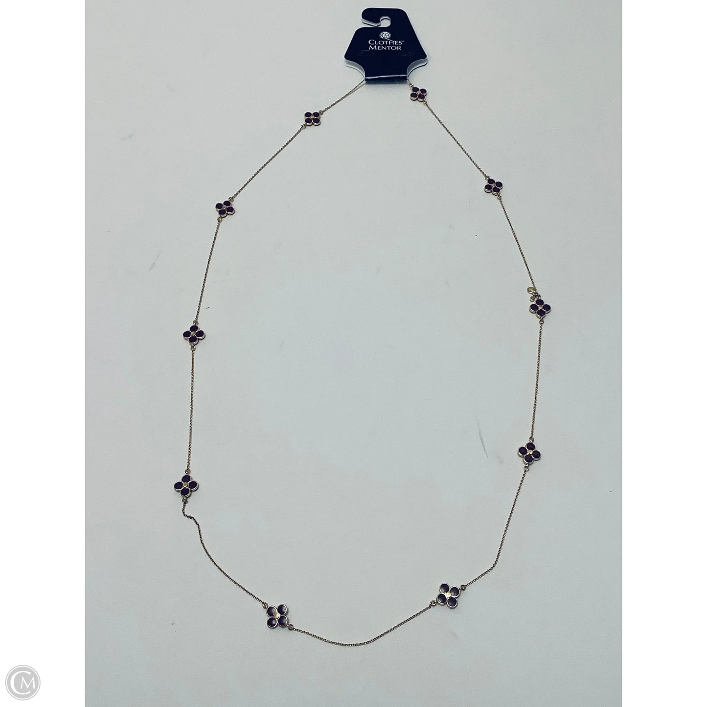 Necklace Chain By Ann Taylor