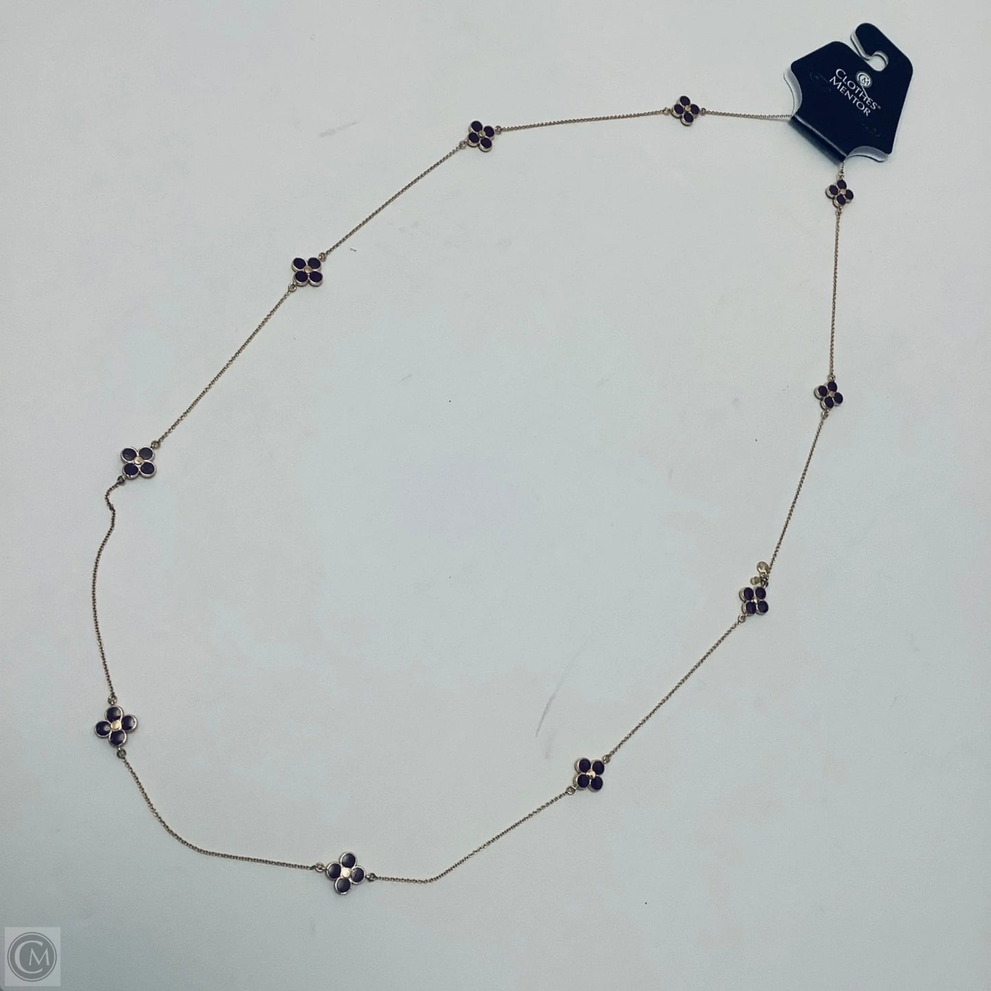 Necklace Chain By Ann Taylor
