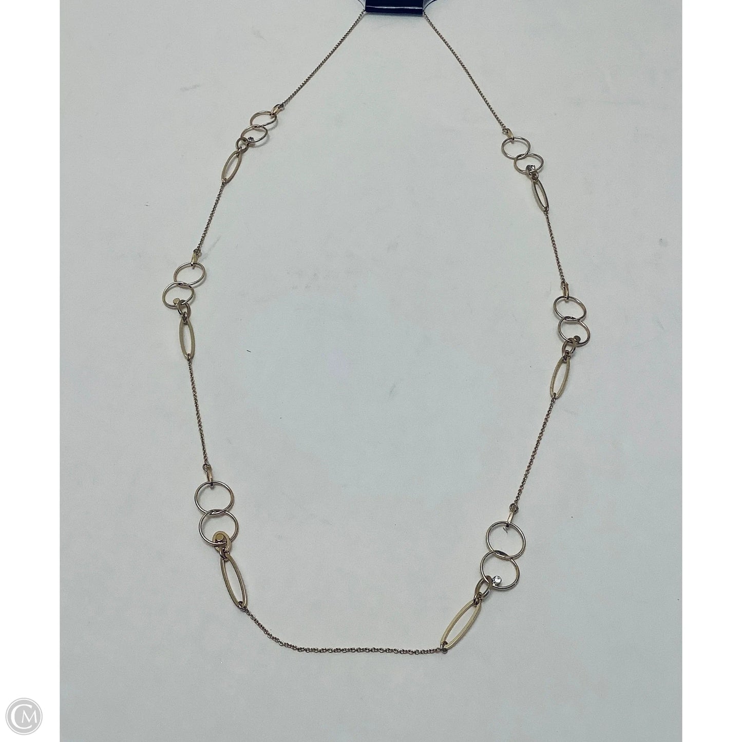 Necklace Chain By Ann Taylor