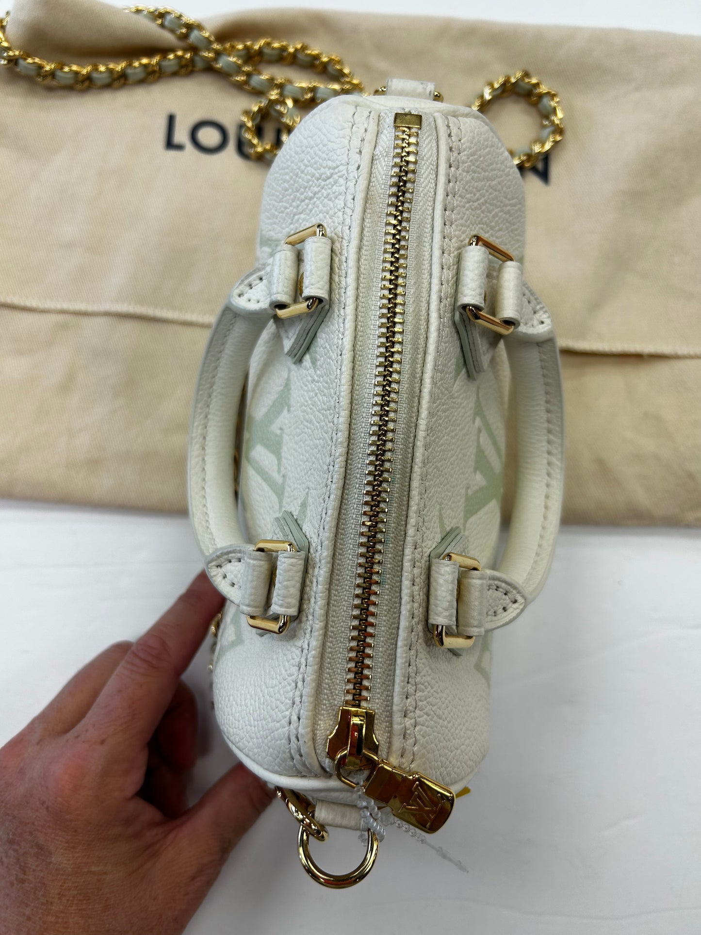 Handbag Luxury Designer By Louis Vuitton