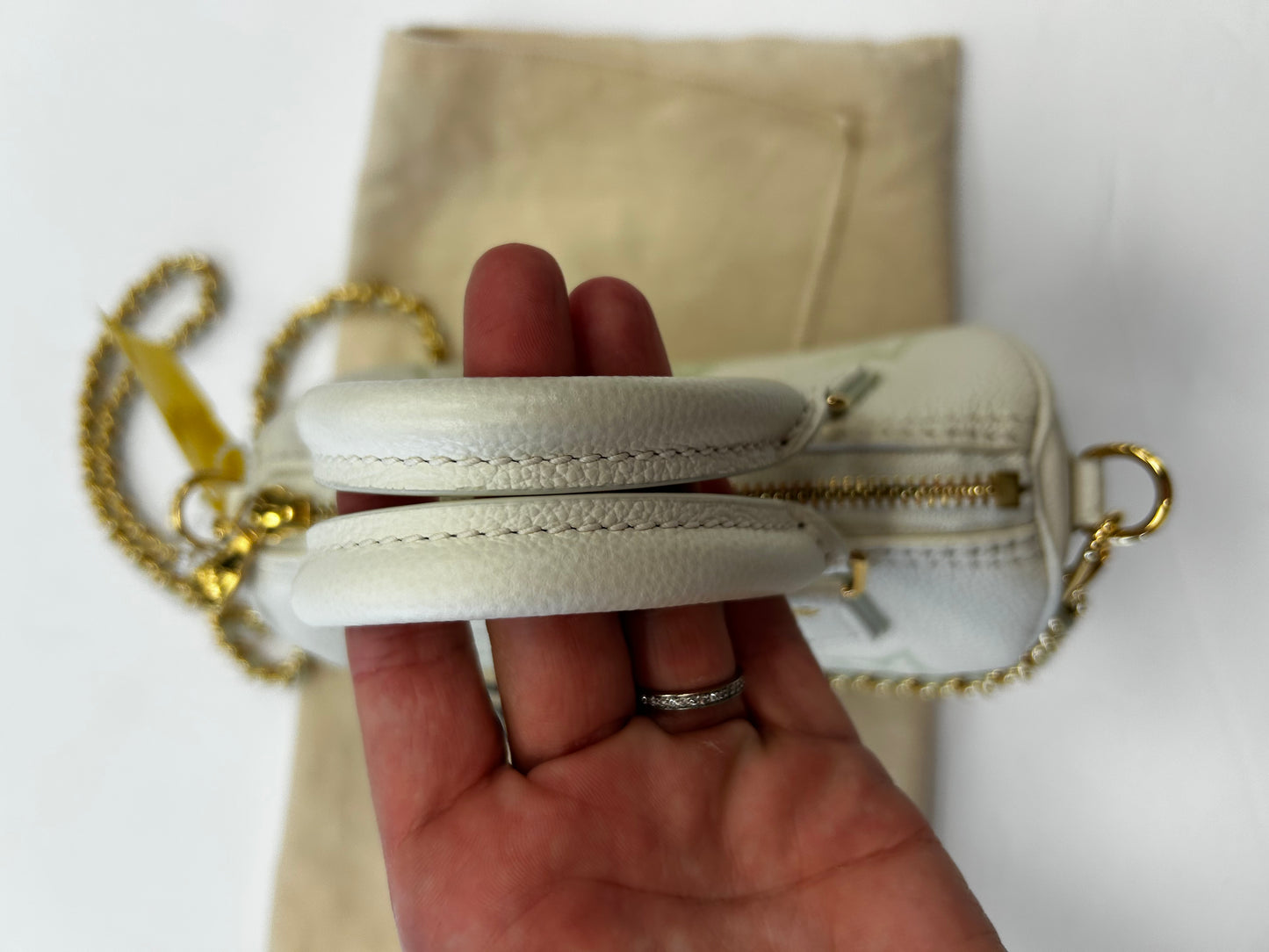 Handbag Luxury Designer By Louis Vuitton