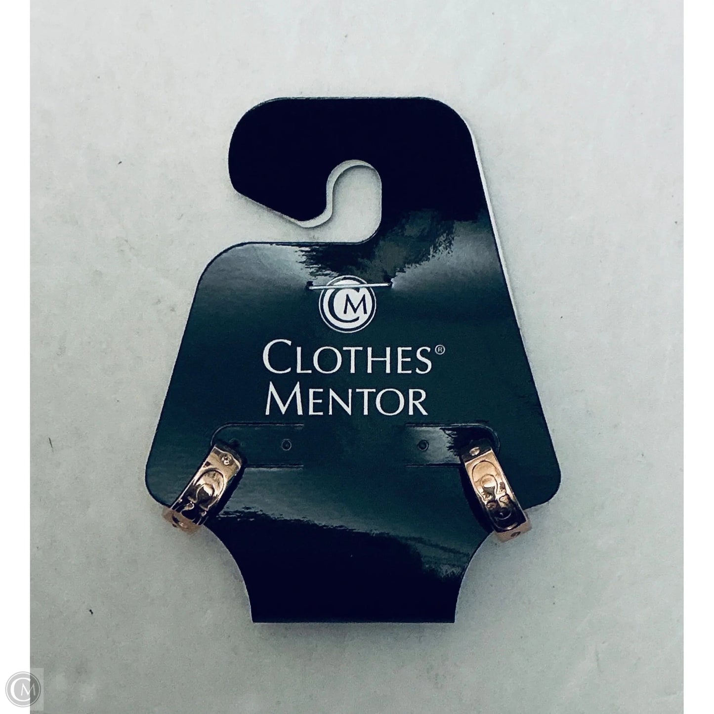 Earrings Designer By Coach