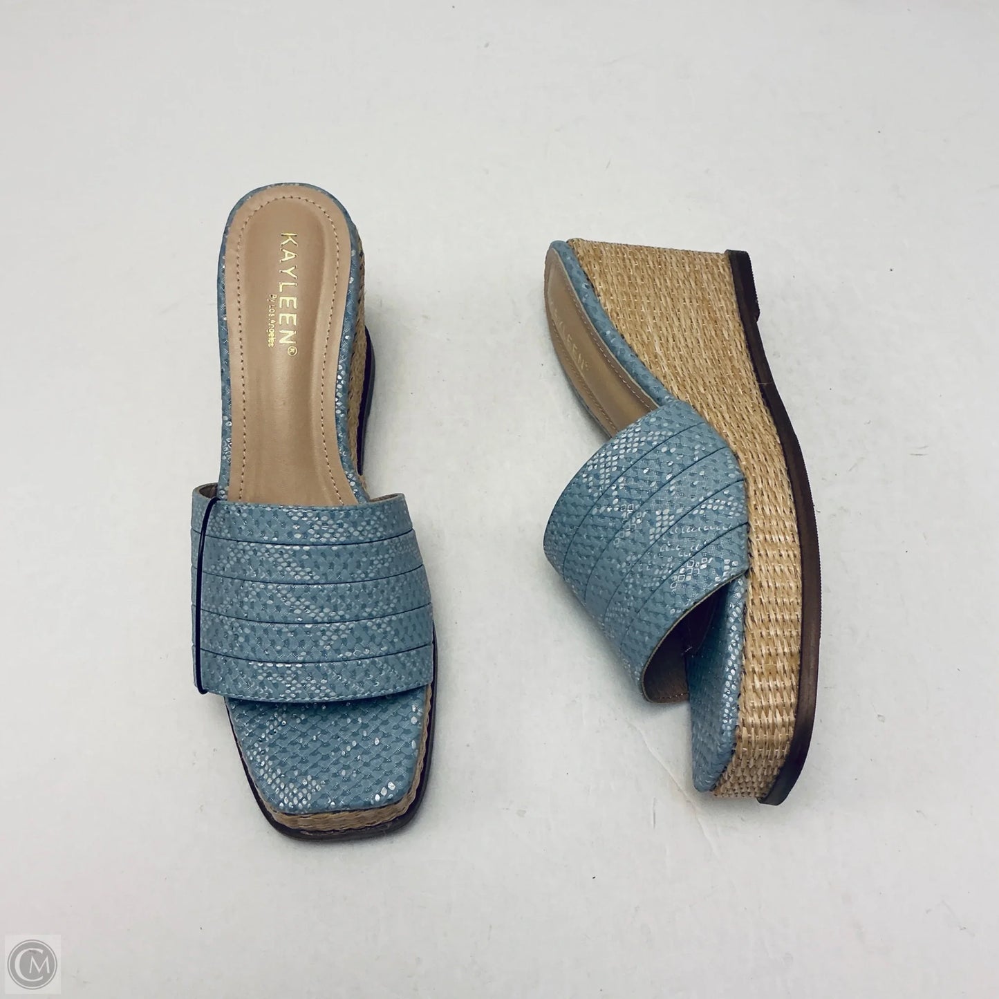 Sandals Heels Wedge By Cmc In Blue, Size: 10