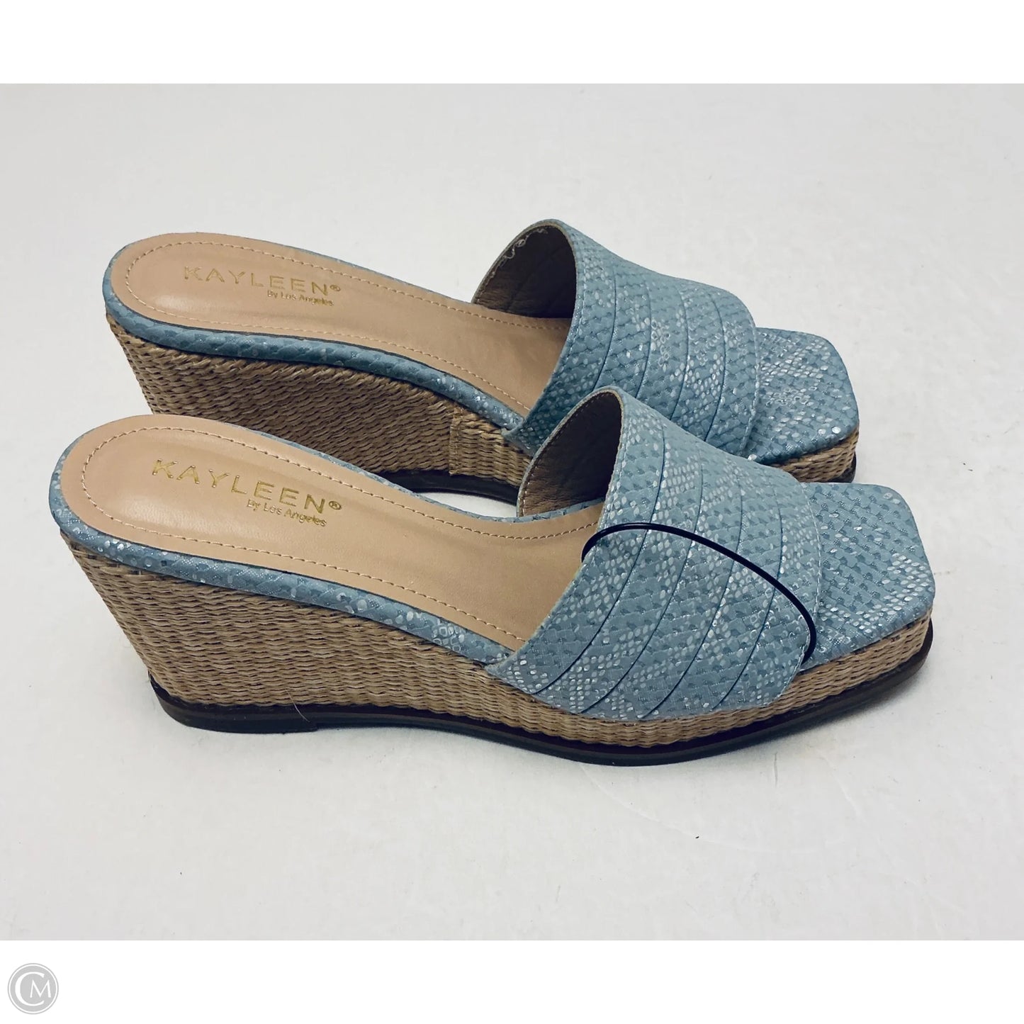 Sandals Heels Wedge By Cmc In Blue, Size: 10