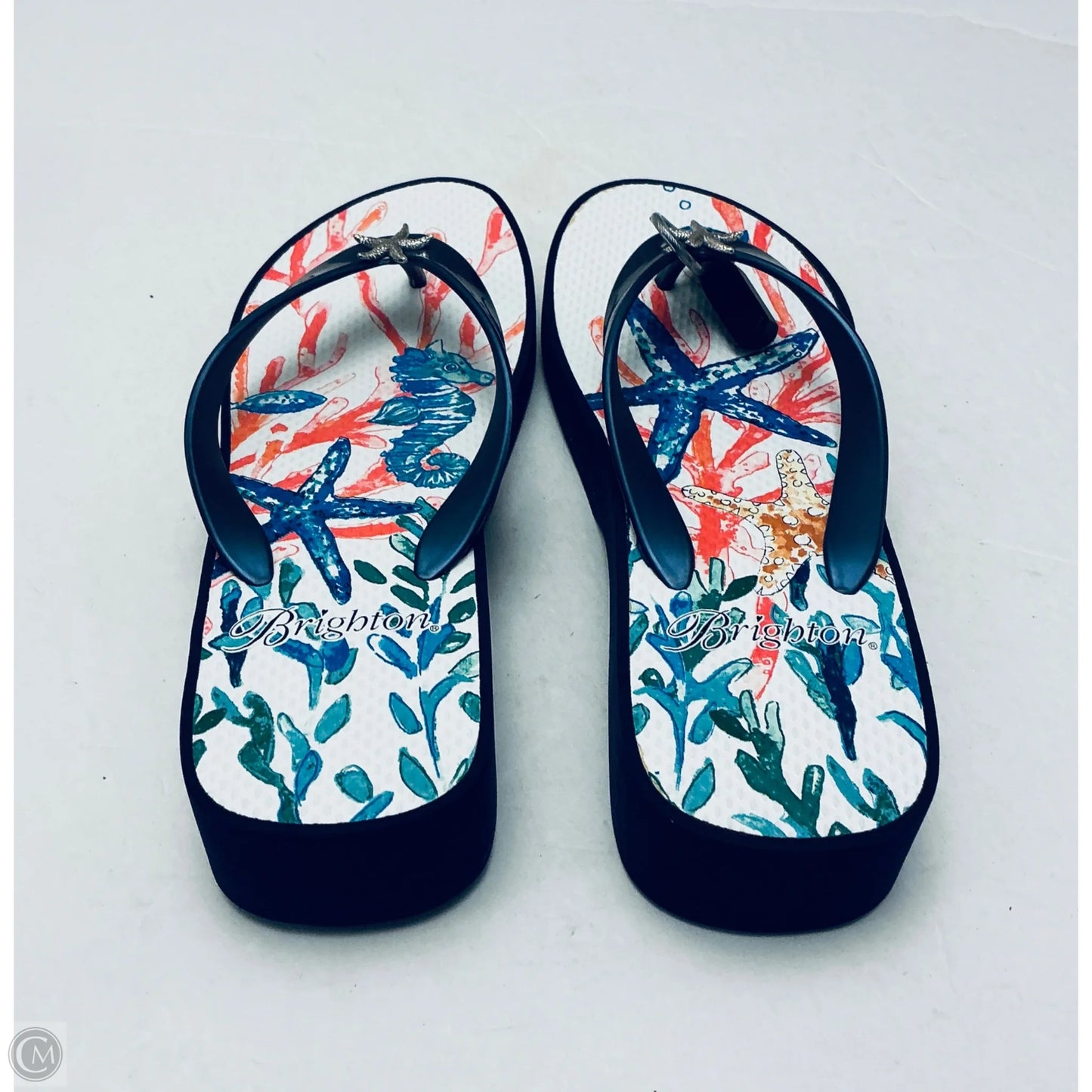 Sandals Flip Flops By Brighton In Blue, Size: 9