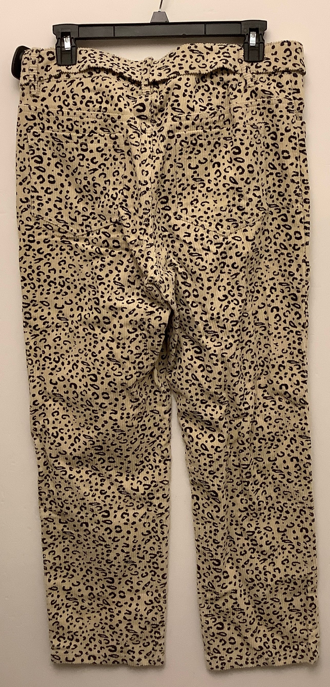 Pants Corduroy By Le Lis In Brown, Size: L