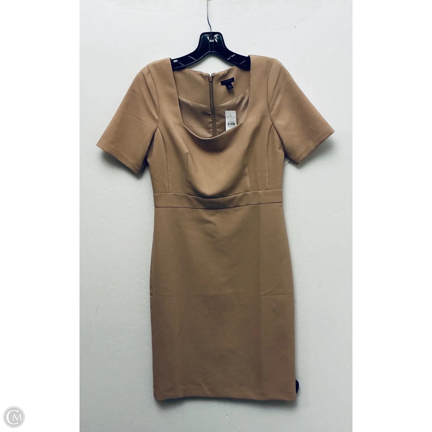 Dress Work By Ann Taylor In Brown, Size: Xs