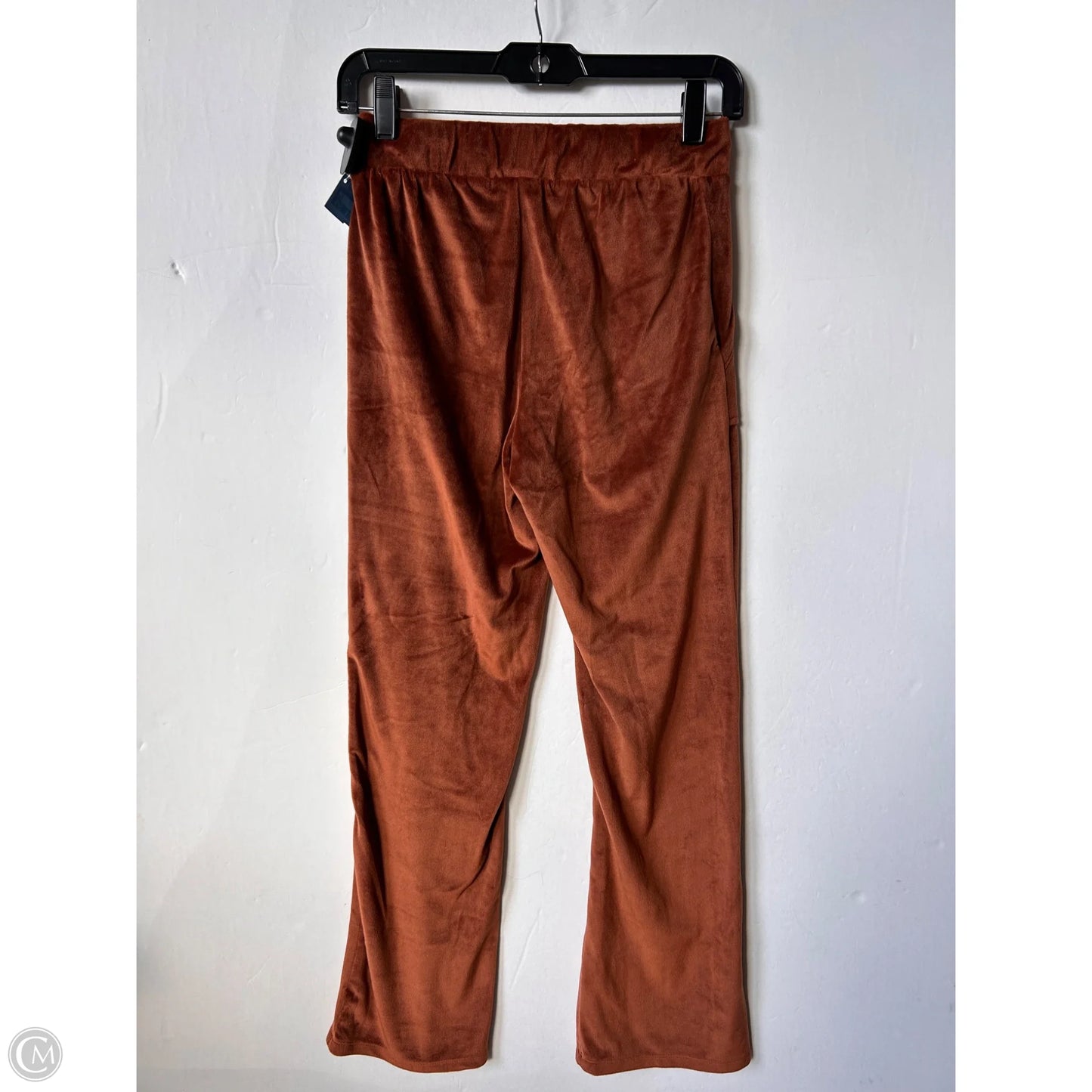 Pants Set 2pc By Clothes Mentor In Bronze, Size: S
