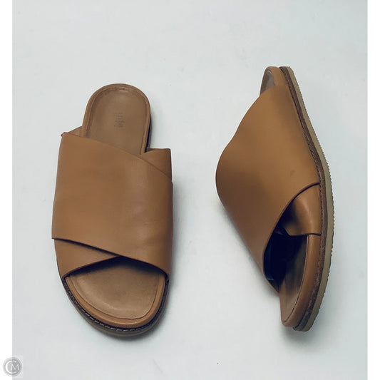 Sandals Flats By J. Jill In Tan, Size: 11