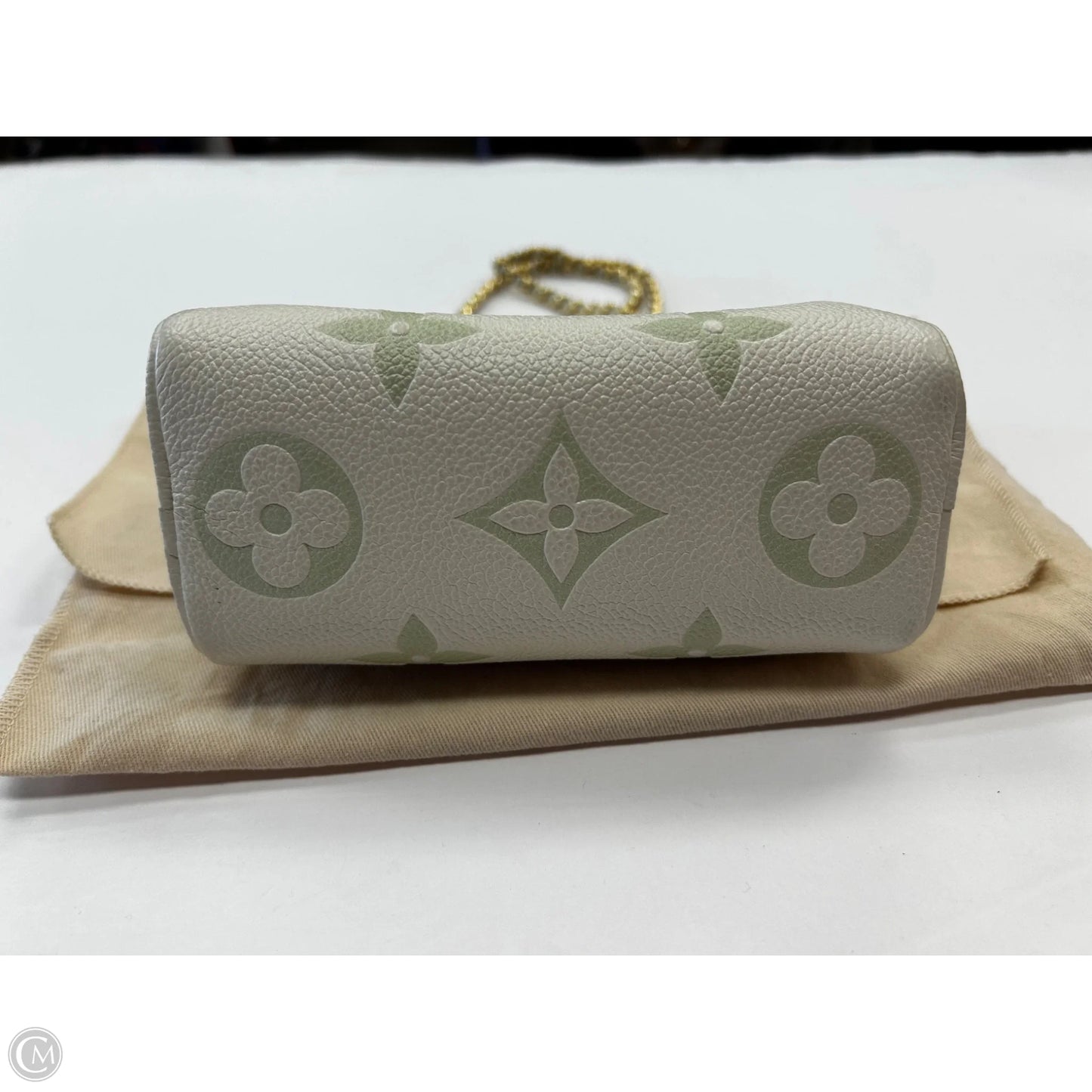 Handbag Luxury Designer By Louis Vuitton