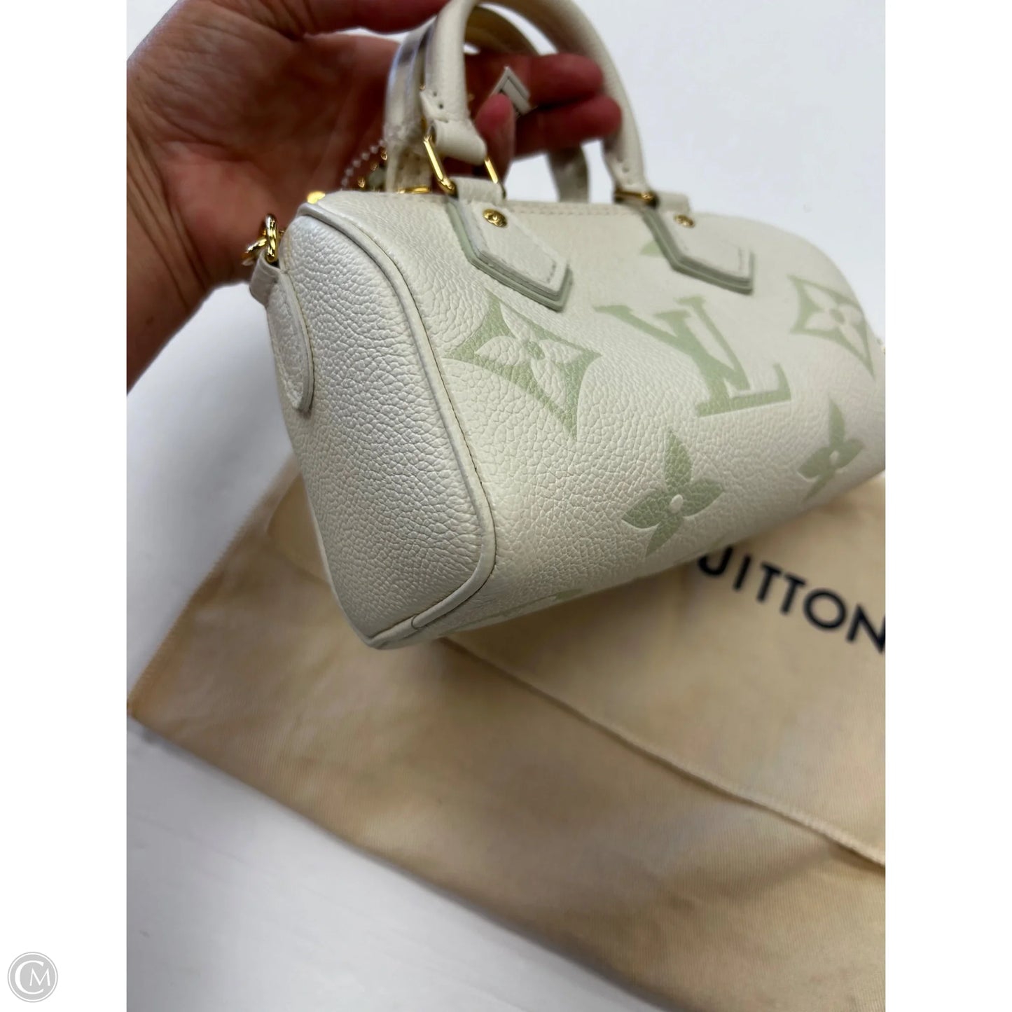 Handbag Luxury Designer By Louis Vuitton