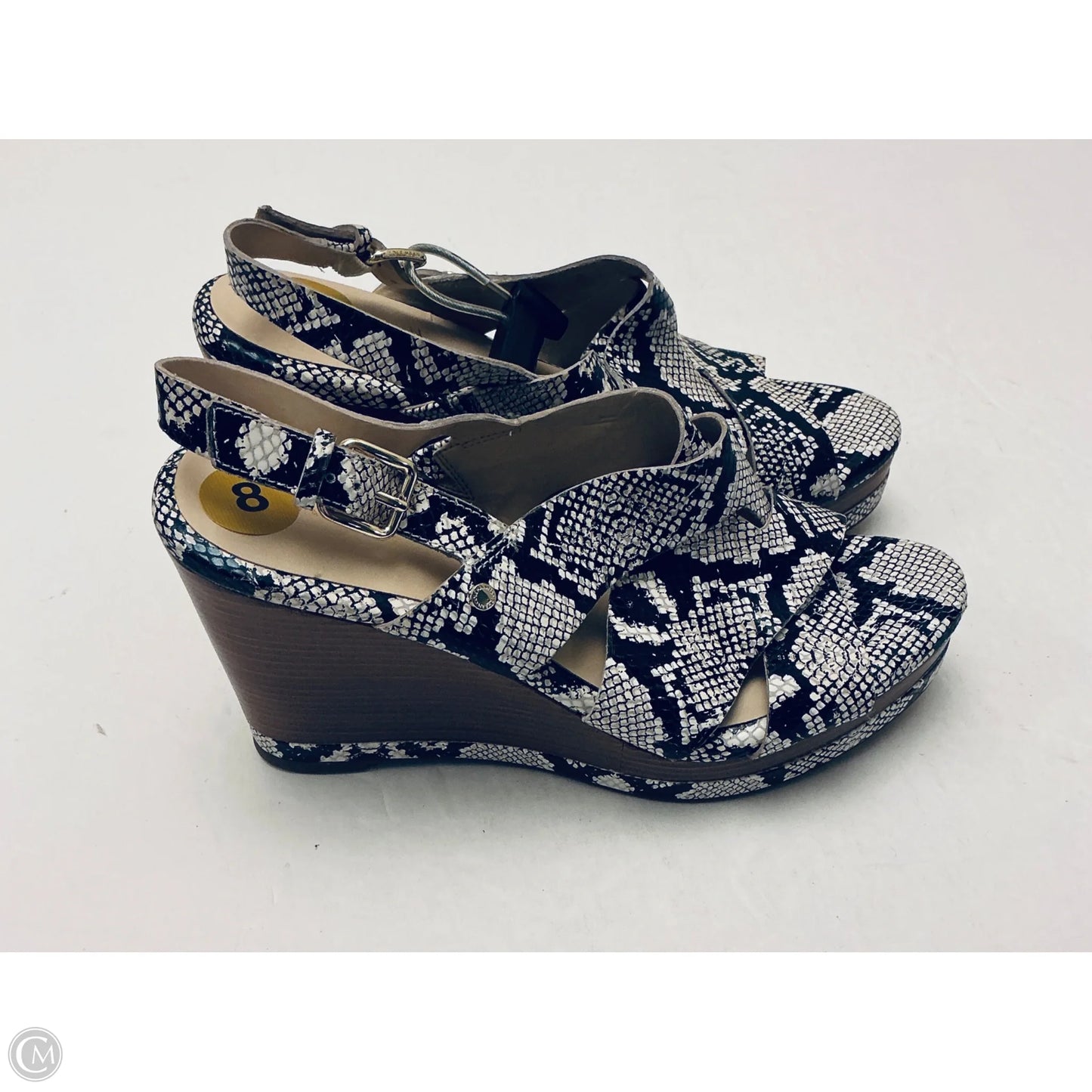 Shoes Heels Wedge By Cole-haan In Snakeskin Print, Size: 8