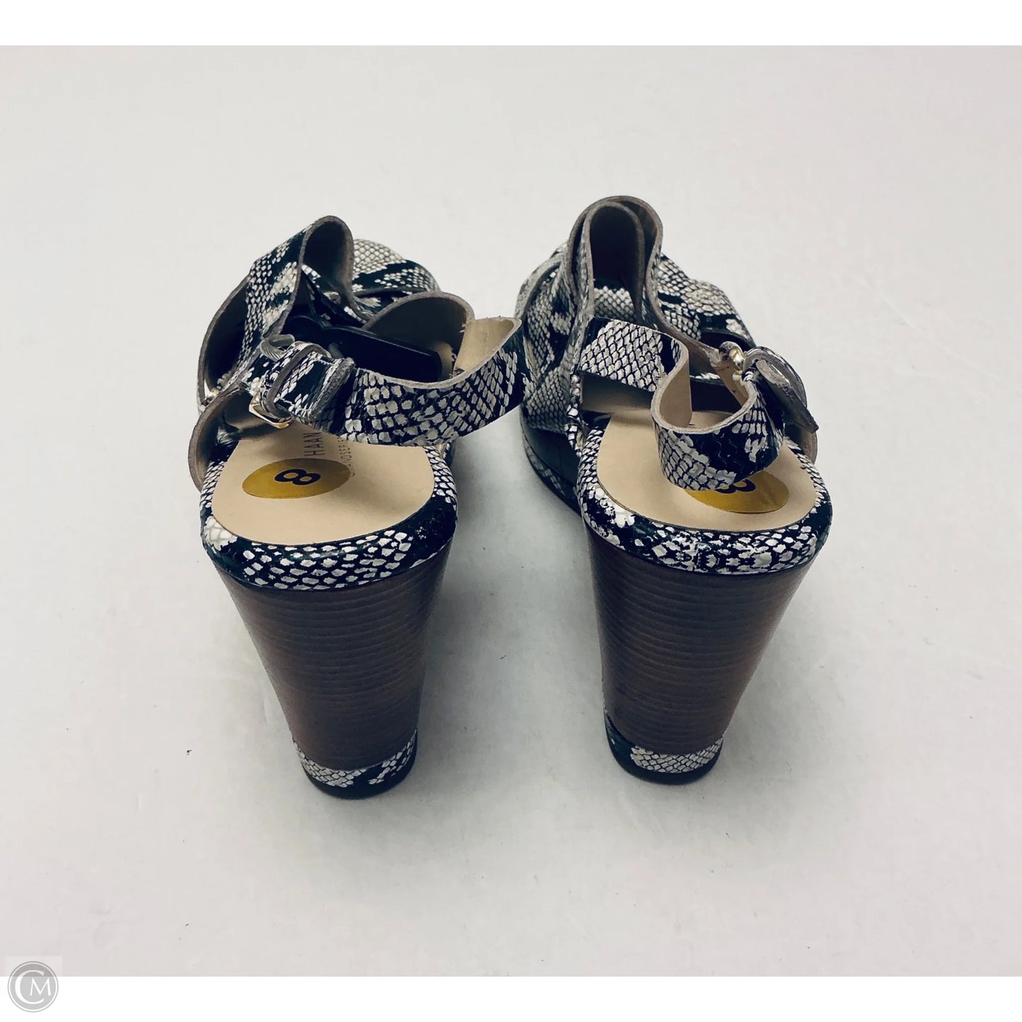 Shoes Heels Wedge By Cole-haan In Snakeskin Print, Size: 8