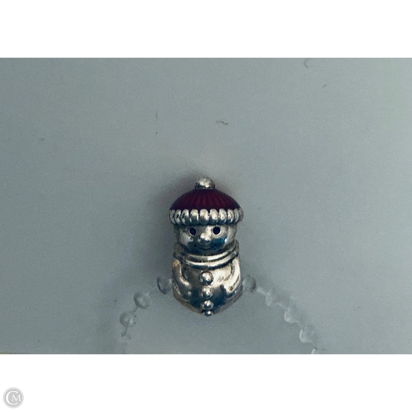 Accessory Tag By Pandora