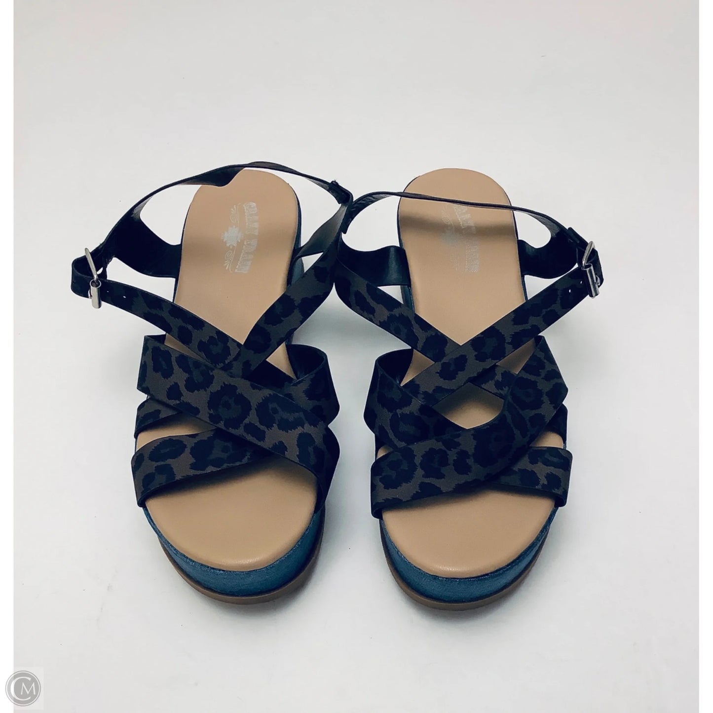 Sandals Heels Platform By Crazy Train In Blue, Size: 8