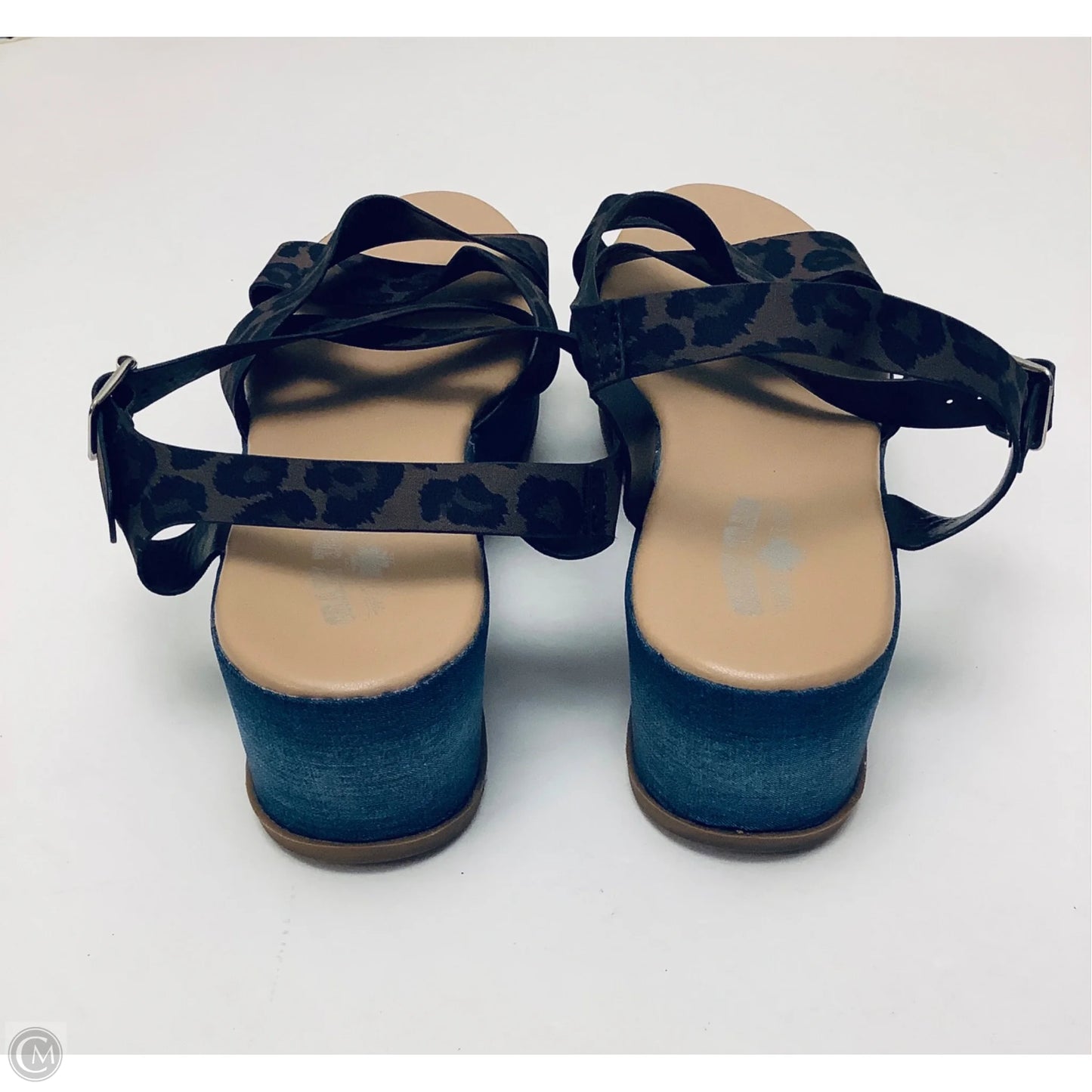 Sandals Heels Platform By Crazy Train In Blue, Size: 8