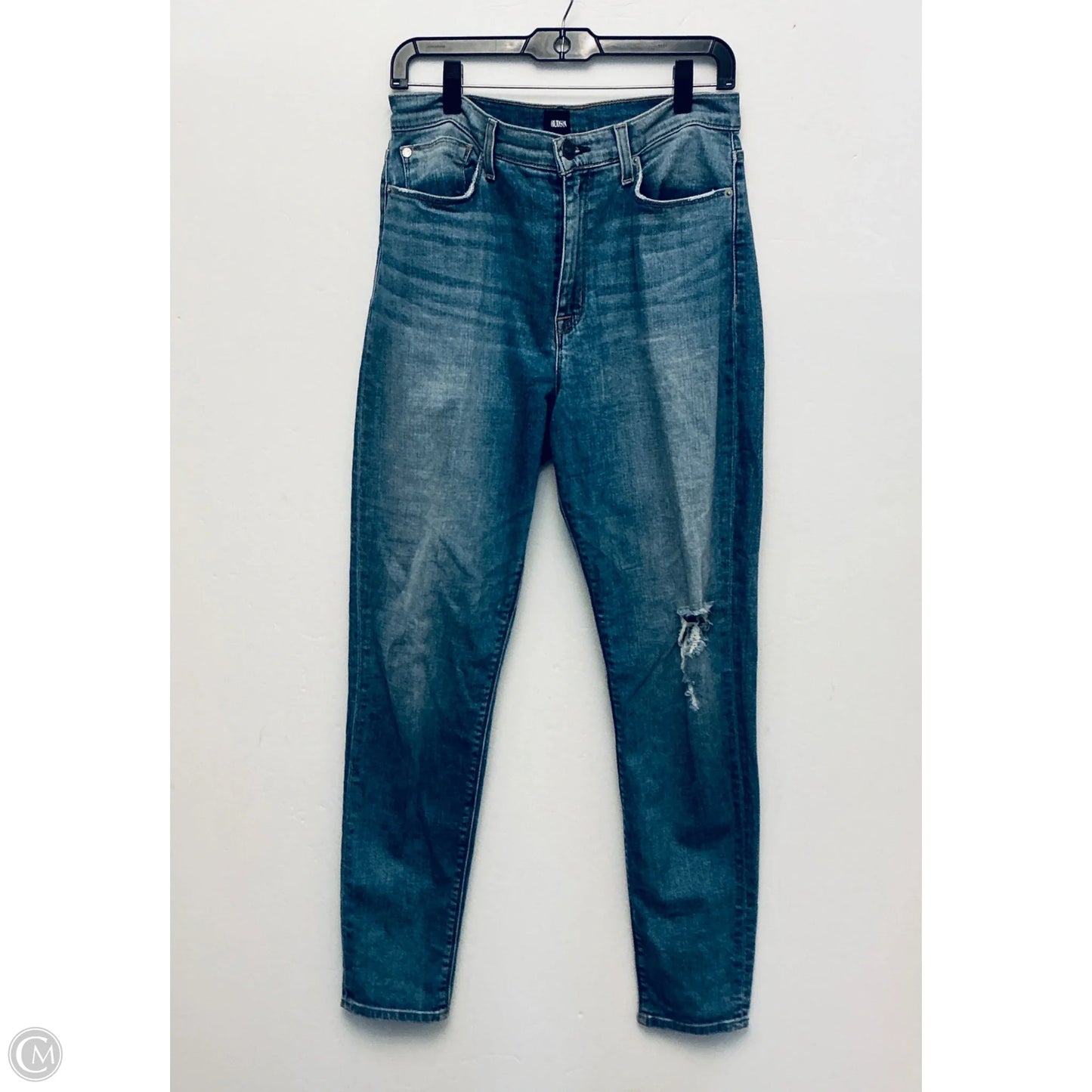 Jeans Skinny By Hudson In Blue Denim, Size: 12