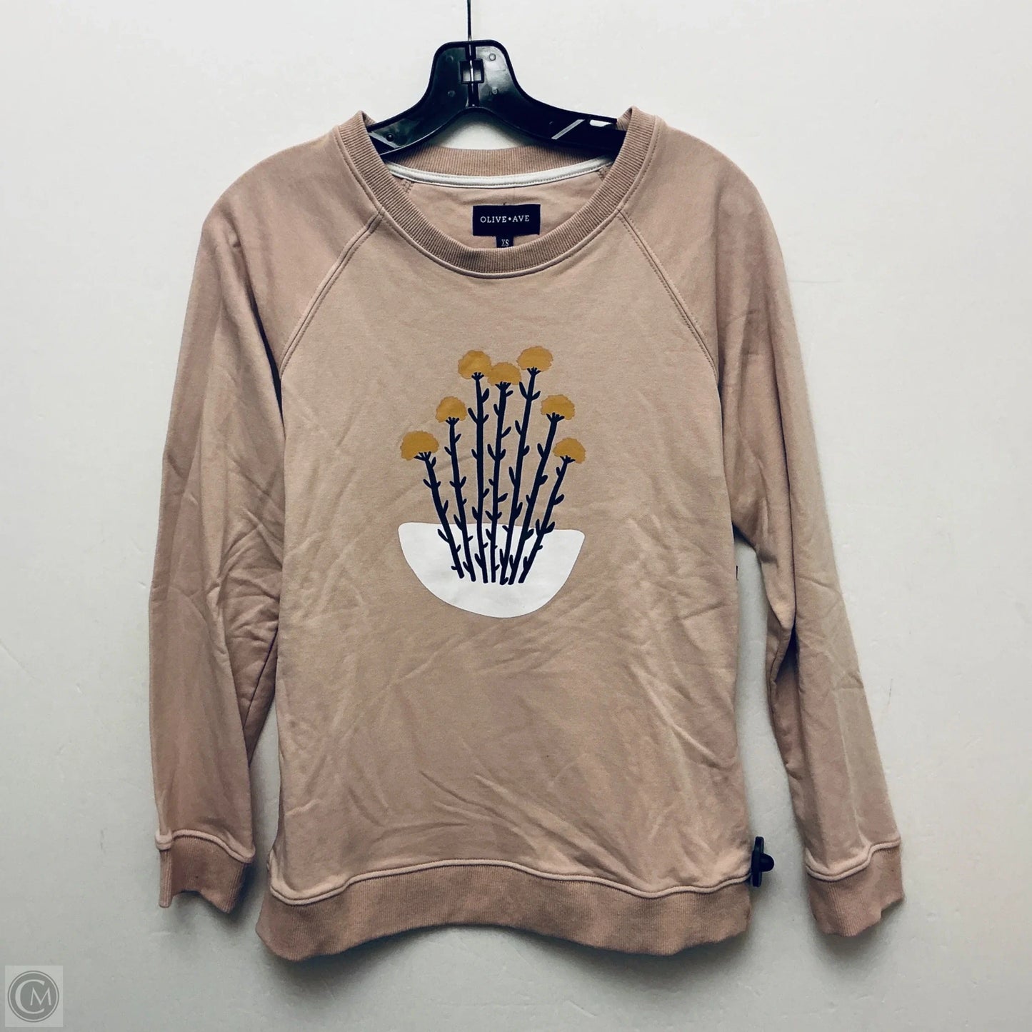 Sweatshirt Crewneck By Clothes Mentor In Tan, Size: Xs