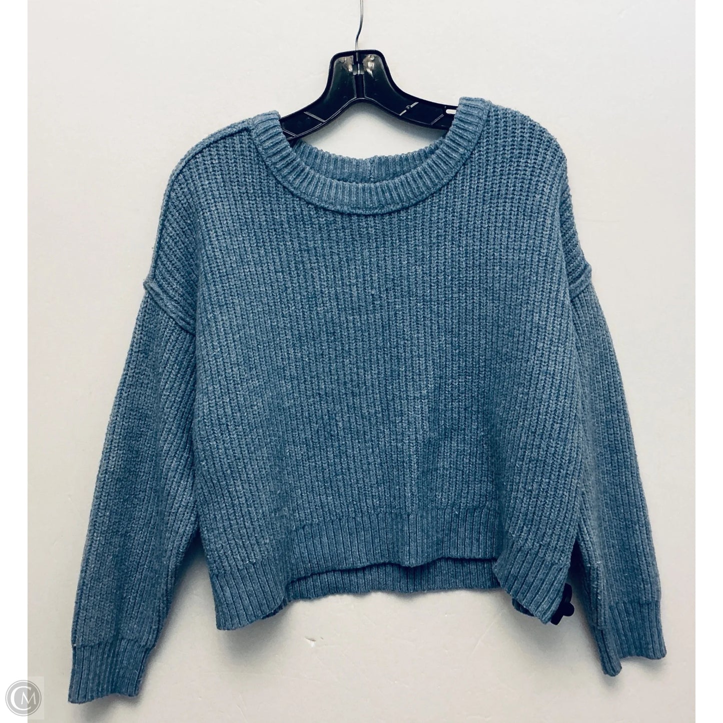 Sweater By American Eagle In Blue, Size: L
