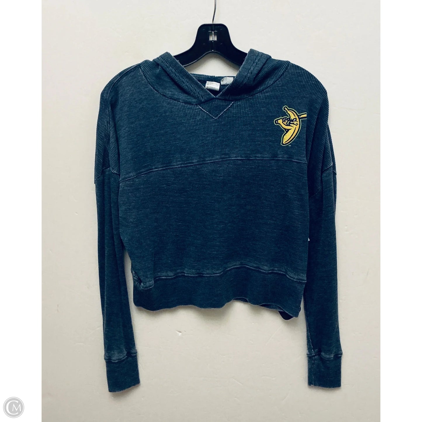 Sweatshirt Hoodie By Clothes Mentor In Blue, Size: S