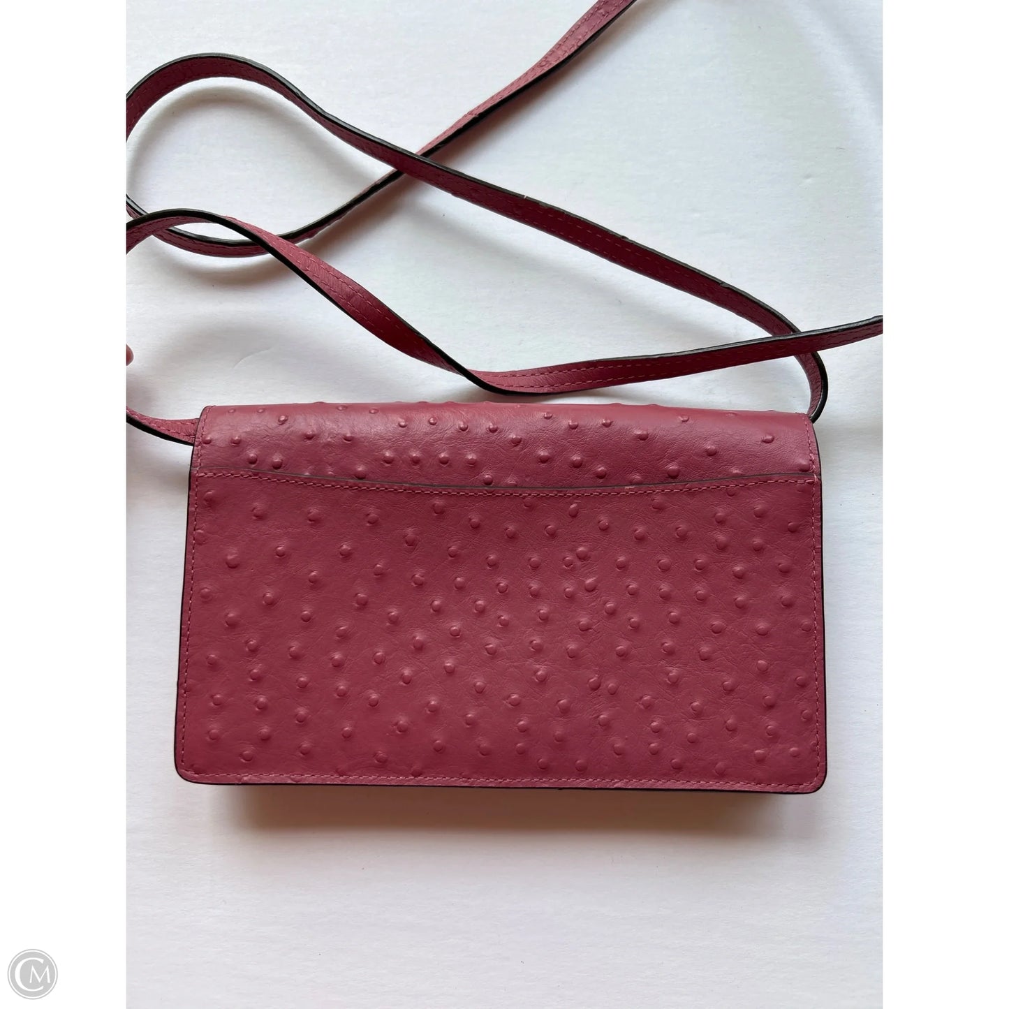 Crossbody Designer By Coach, Size: Small