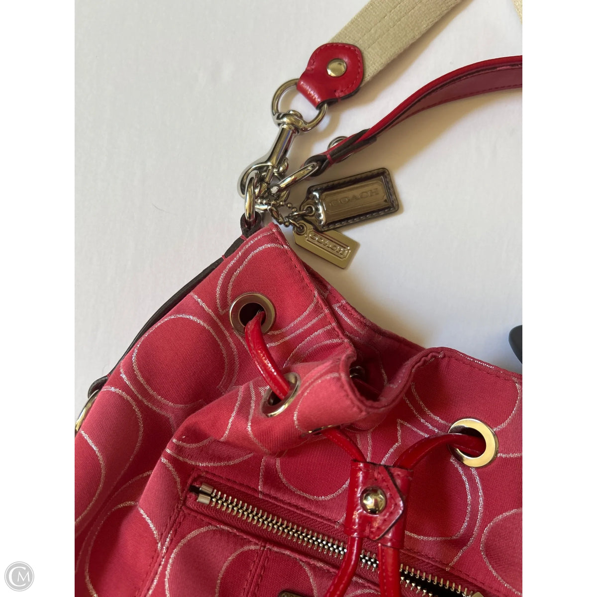 Handbag Designer By Coach
