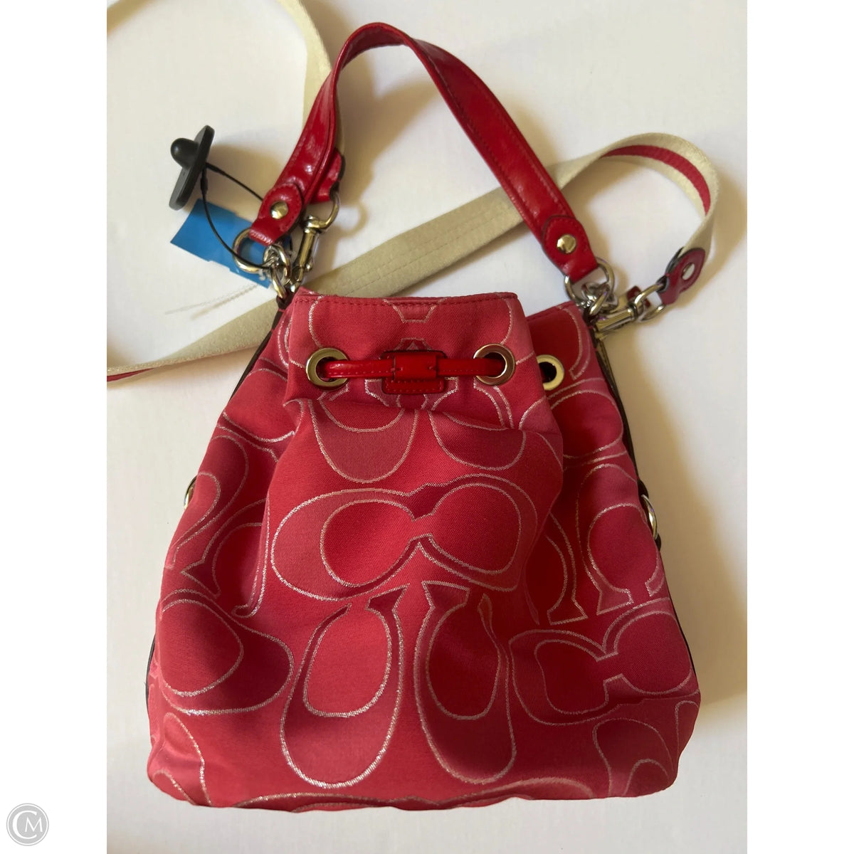Handbag Designer By Coach