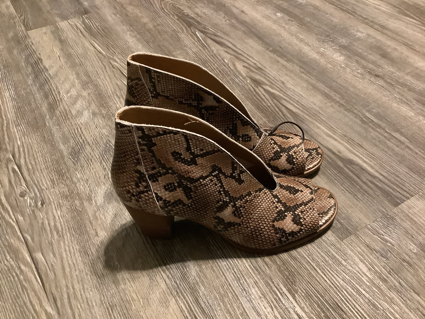 Boots Ankle Heels By Lucky Brand In Snakeskin Print, Size: 6.5