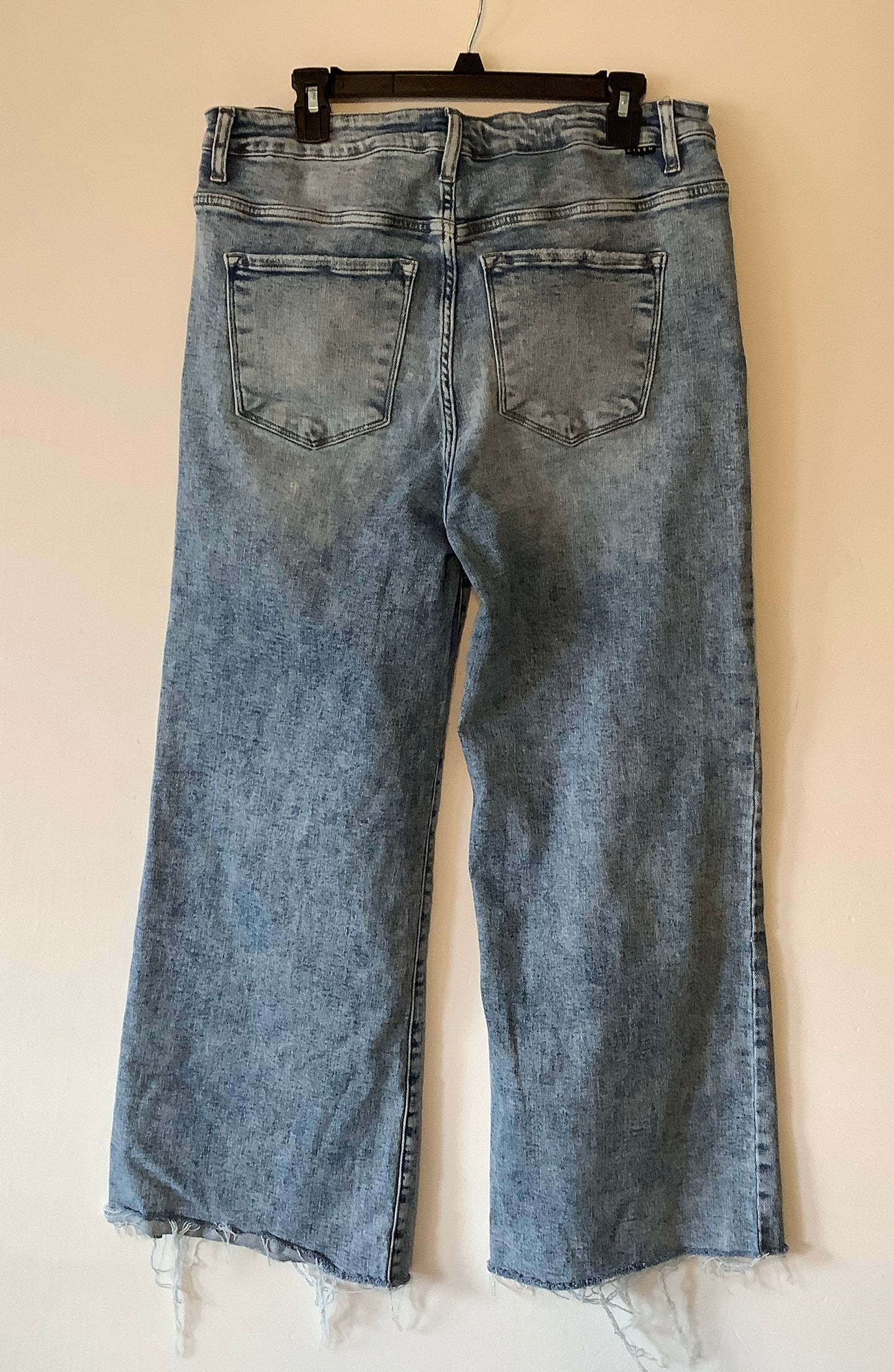 Jeans Straight By Risen In Blue Denim, Size: 2x