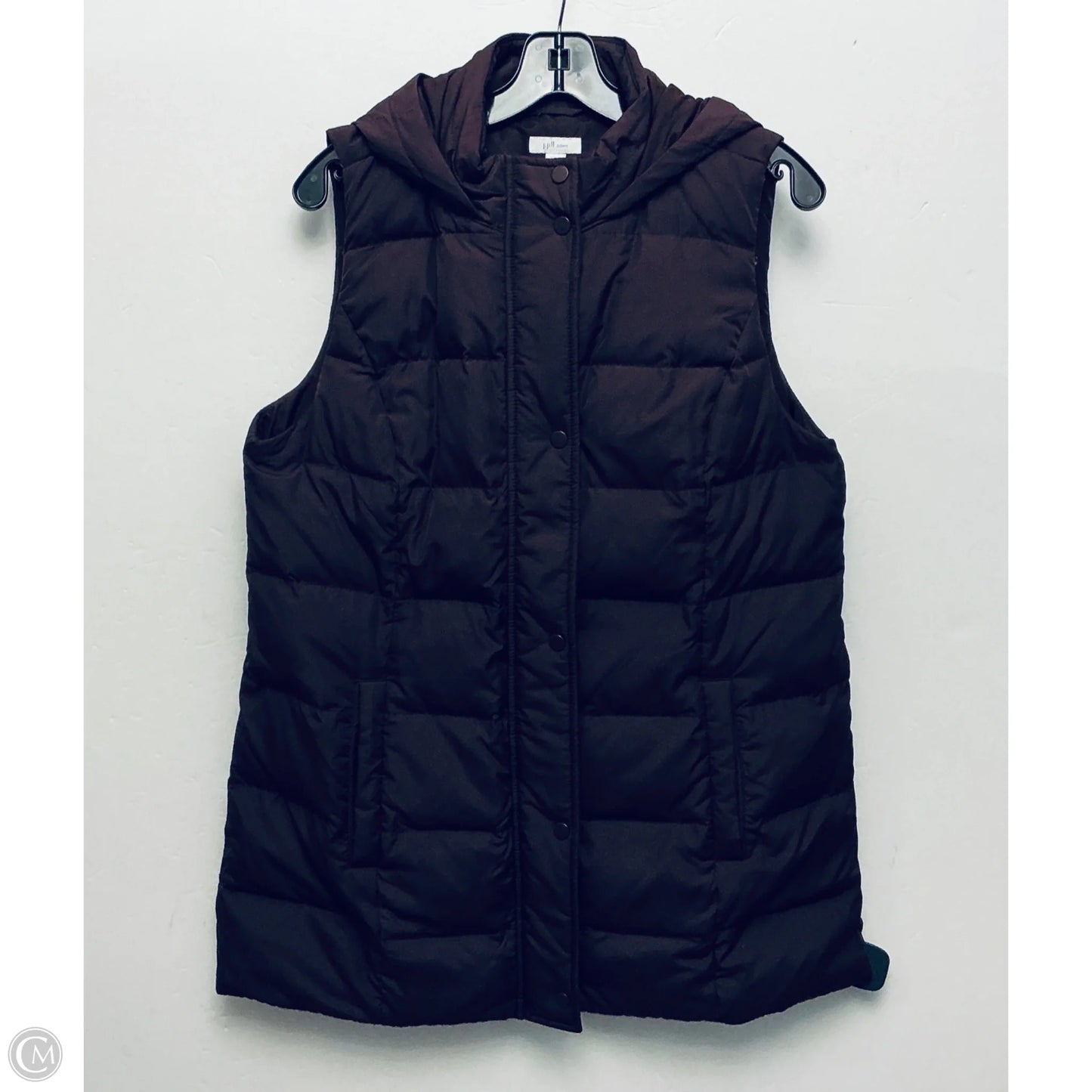 Jacket Puffer & Quilted By J. Jill In Purple, Size: M