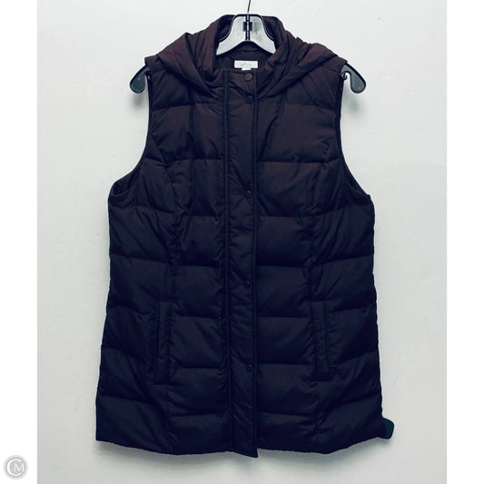 Jacket Puffer & Quilted By J. Jill In Purple, Size: M