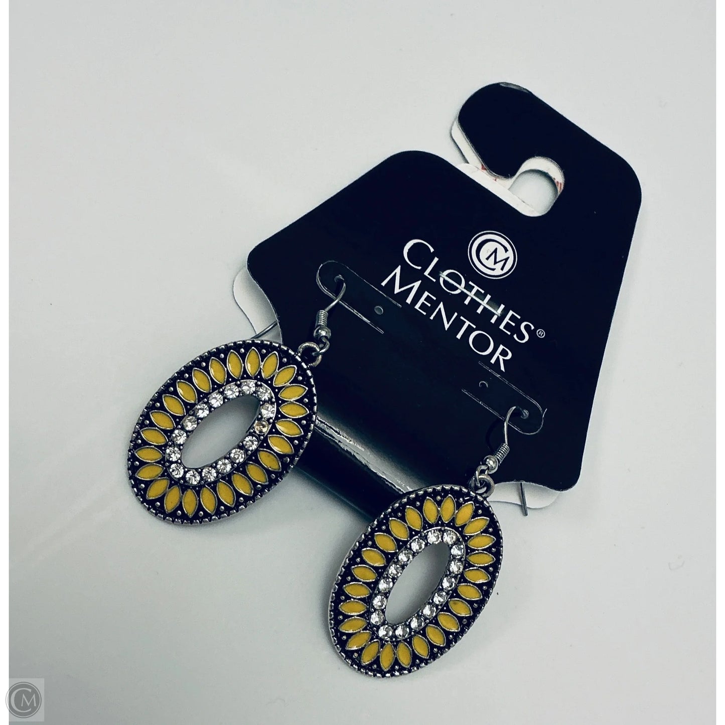 Earrings Dangle/drop By Clothes Mentor