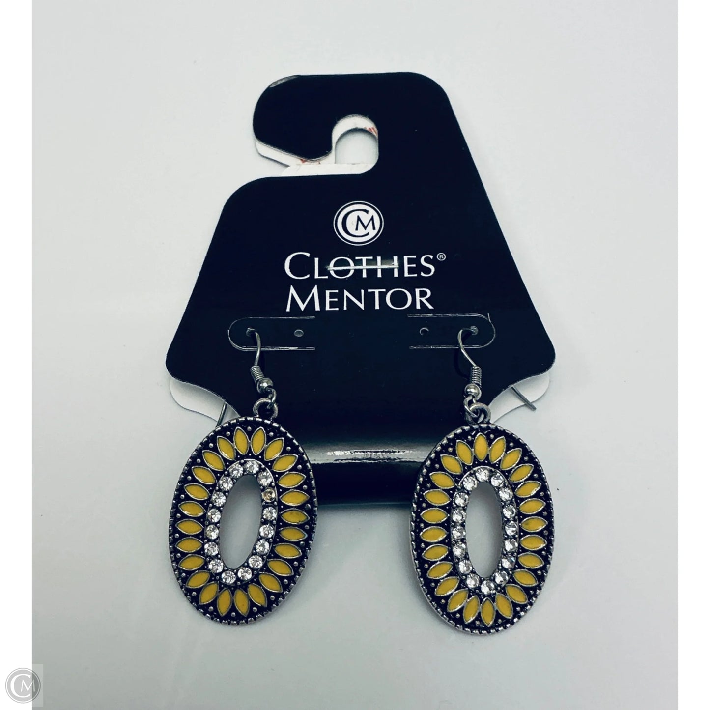 Earrings Dangle/drop By Clothes Mentor