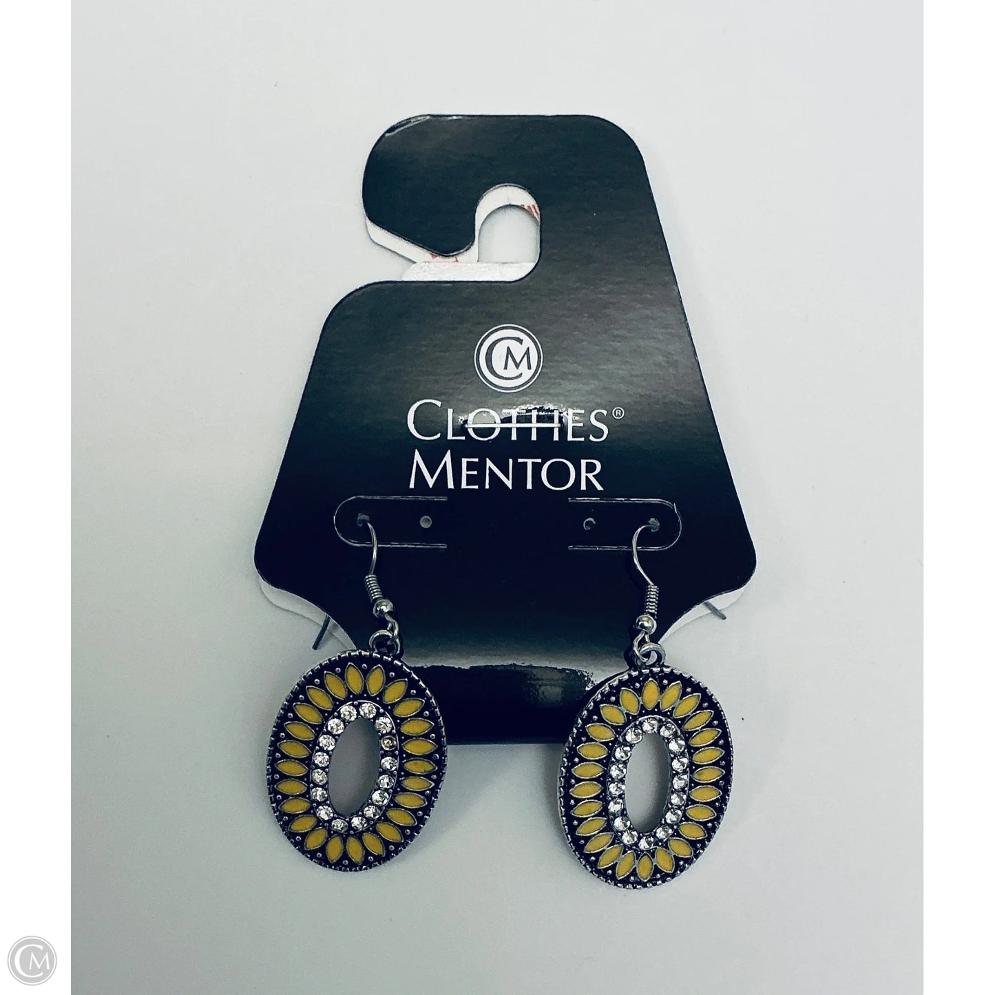 Earrings Dangle/drop By Clothes Mentor