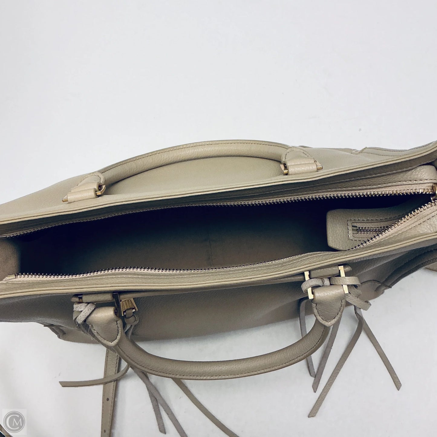 Handbag Designer By Rebecca Minkoff, Size: Large