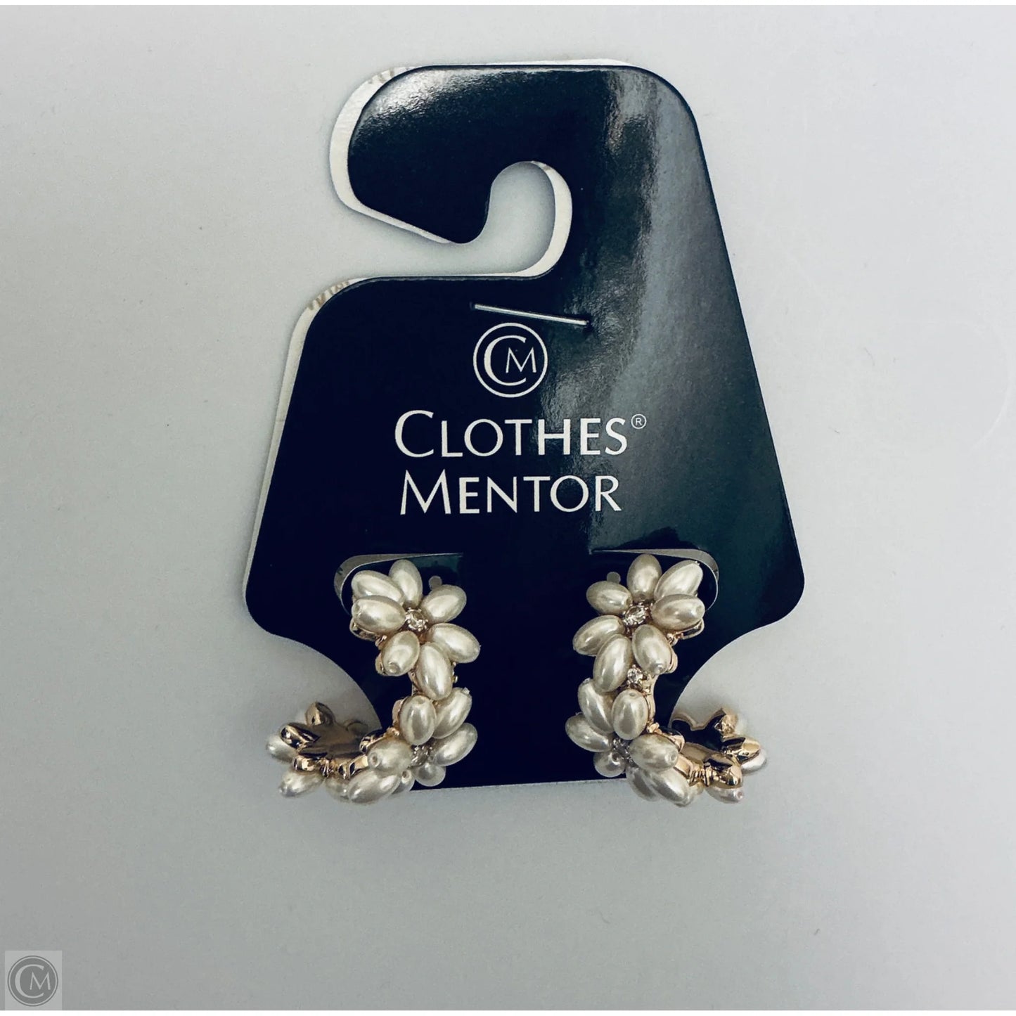 Earrings Hoop By Clothes Mentor