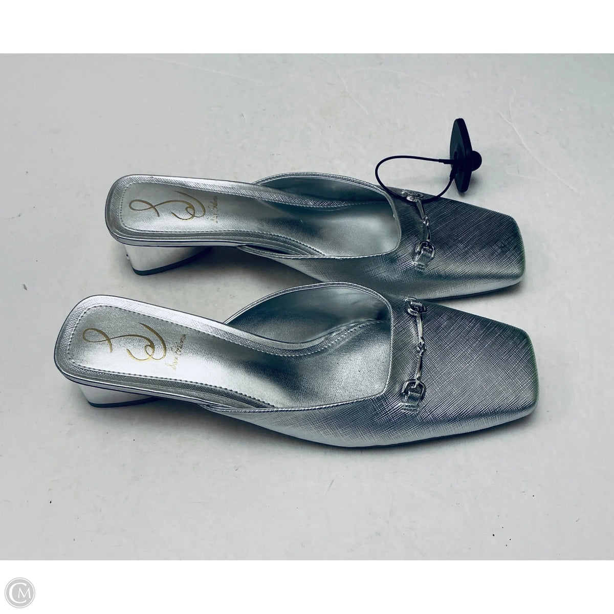Sandals Flats By Sam Edelman In Silver, Size: 9