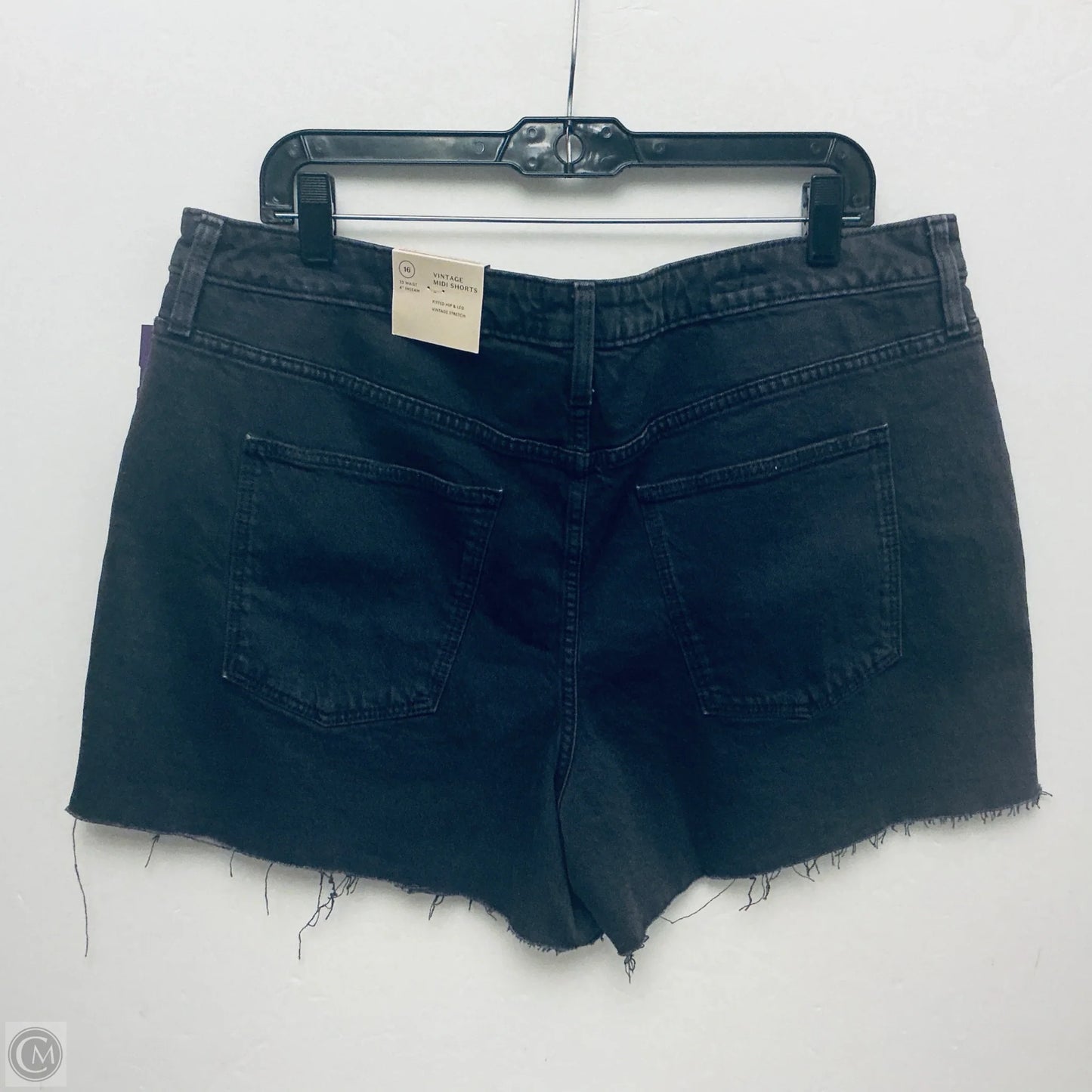 Shorts By Universal Thread In Black, Size: 16