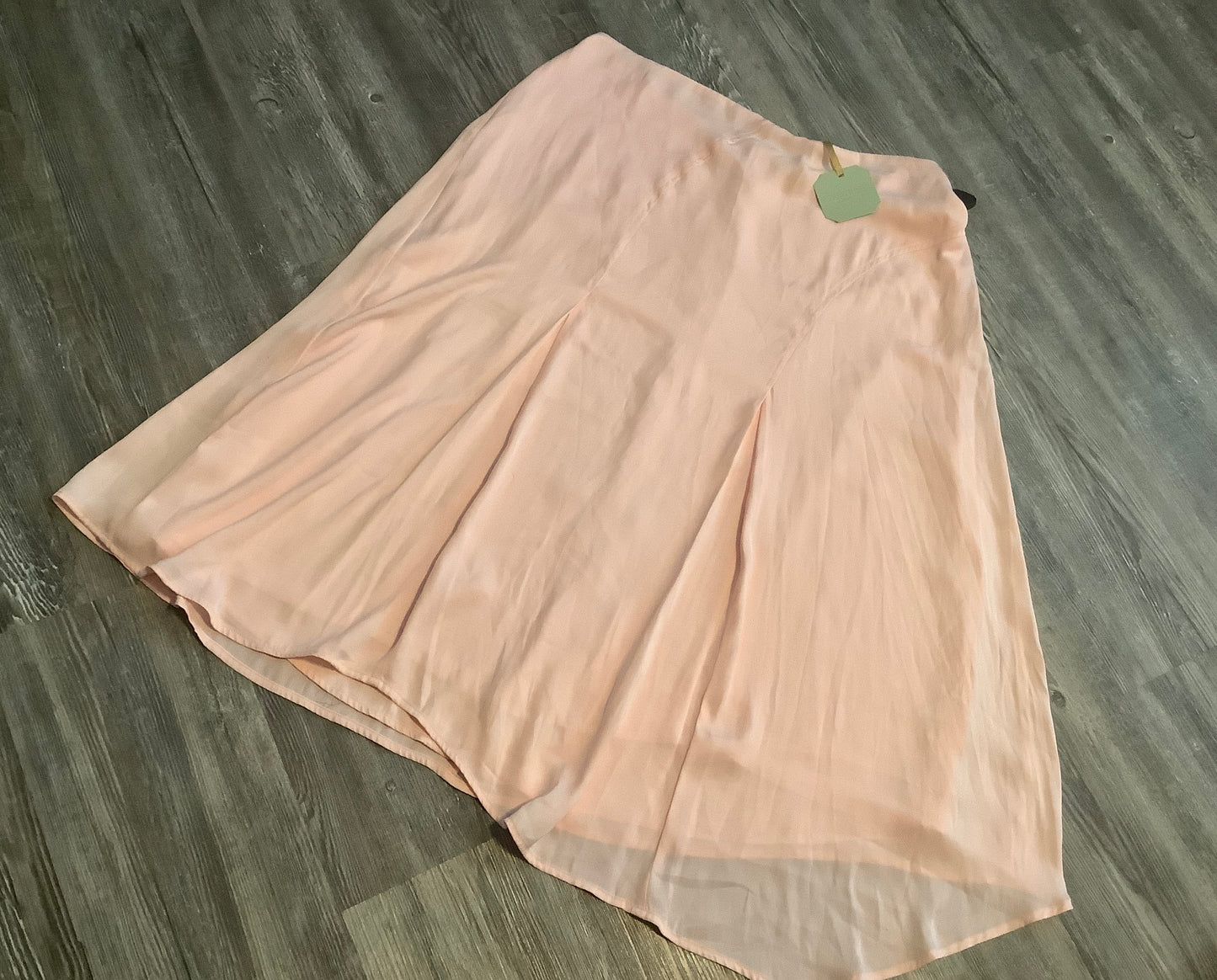 Pink Skirt Maxi Clothes Mentor, Size L