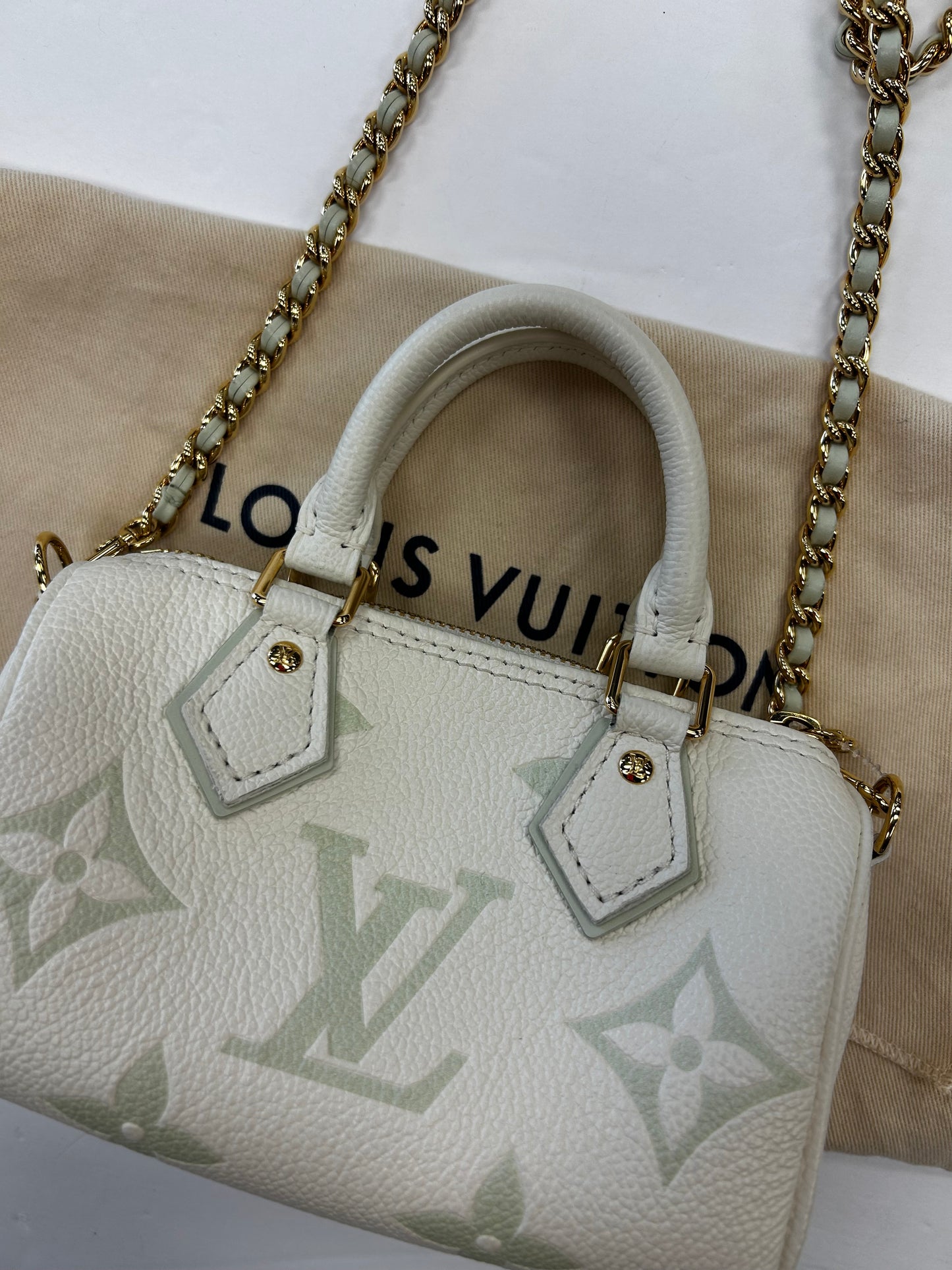 Handbag Luxury Designer By Louis Vuitton