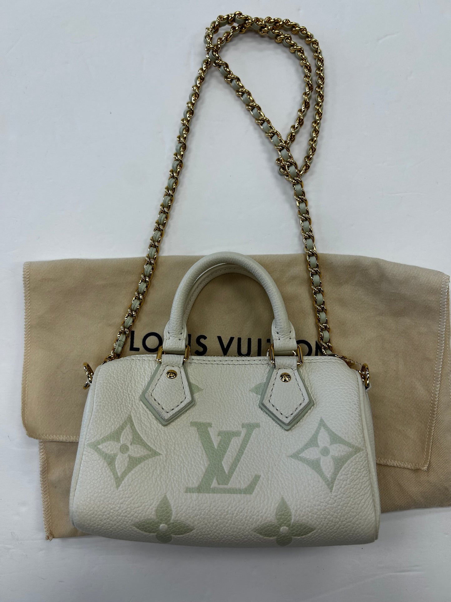 Handbag Luxury Designer By Louis Vuitton