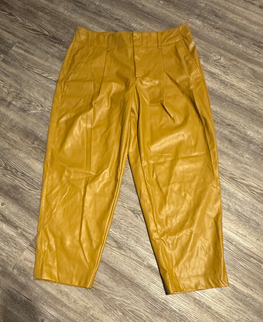 Pants Ankle By A New Day  Size: 14